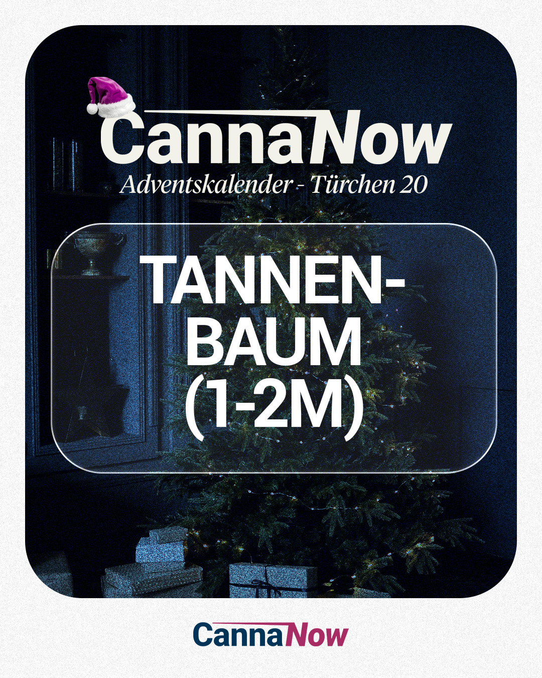 1× Tannenbaum (1-2 Meter)
