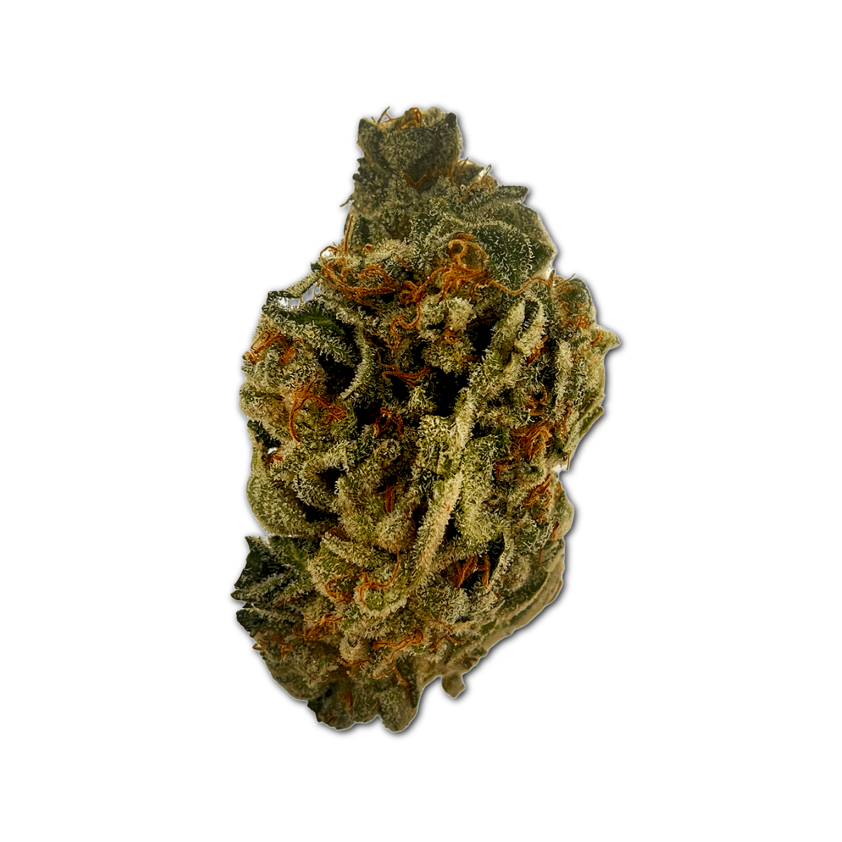 邦楽 mega-g/Marijuana in my brain Dillinger - Marijuana In My Brain - YouTube